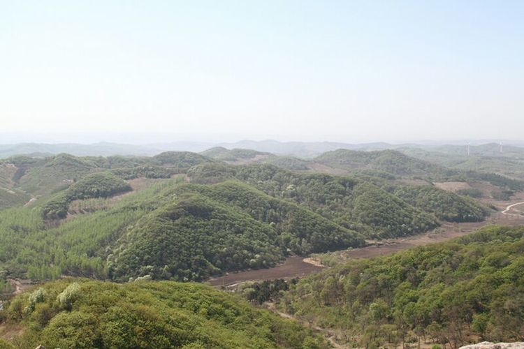 5be9655a890e2.jpg 5.jpg